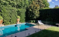 Bay Laurel (Sweet Bay) - Laurus Nobilis - 1 Gallon Pot -Garden Plant Shop Bay Laurel 7 3