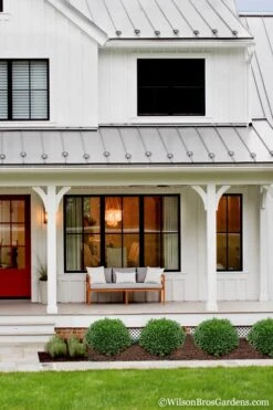 Korean Dwarf Boxwood - Buxus Sinica Var. Insularis 'Nana' - 1 Gallon Pot 9 Korean Dwarf Boxwood - Buxus Sinica Var. Insularis 'Nana' - 1 Gallon Pot -Garden Plant Shop Boxwood Korean Dwarf Insularis Nana 4 1