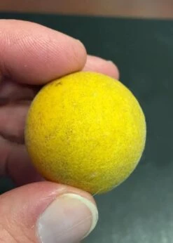 Flying Dragon Hardy Orange Tree - 3 Gallon Pot -Garden Plant Shop Orange Flying Dragon 6