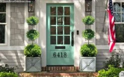 Green Mountain Boxwood 3-Ball Poodle Tier Topiary - 6 Gallon Pot -Garden Plant Shop buxus green mountain 3 ball topiary 20