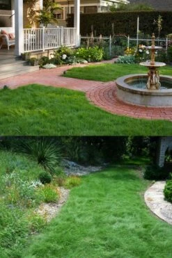 Texas Sedge (Carex Texensis) - 6 Pack Of 1 Gallon Pots -Garden Plant Shop carex texensis texas sedge 2