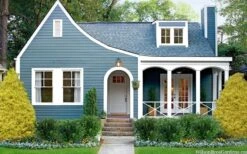 Gold Mop Threadleaf Cypress - 1 Gallon Pot -Garden Plant Shop chamaecyparis pisifera gold mop cypress 105 2