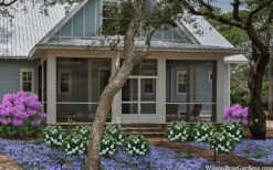 Snow Globe Gardenia - 1 Gallon Pot -Garden Plant Shop gardenia jasminoides snow globe 2 1