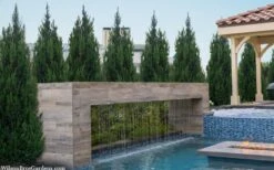 Spartan Juniper - 1 Gallon Pot -Garden Plant Shop juniperus chinensis spartan columnar juniper 40 1