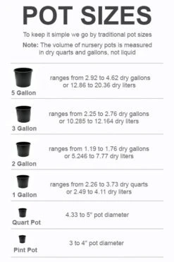 Best Seller -Garden Plant Shop pot size chart 2022 686